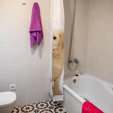 Appartement Hauzify I Missé